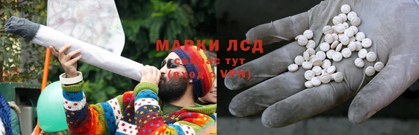 прущие грибы Волосово
