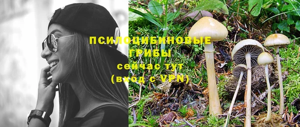 гидропоника Володарск