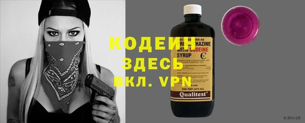 индика Волоколамск