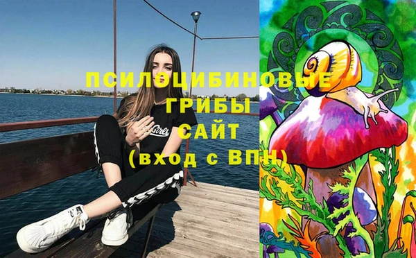 индика Волоколамск