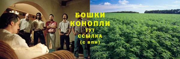 эйфоретик Вяземский