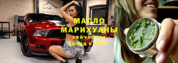 эйфоретик Вяземский