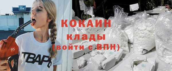индика Волоколамск