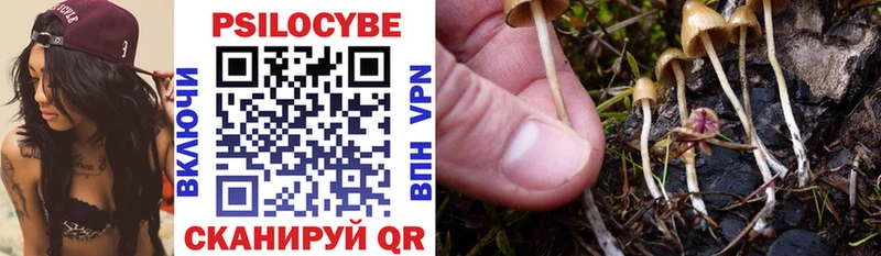 где купить наркотик  Искитим  Псилоцибиновые грибы мухоморы 
